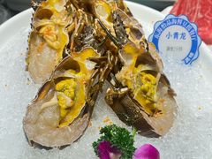 -东海怡品海鲜豆捞(舟宿夜江店)