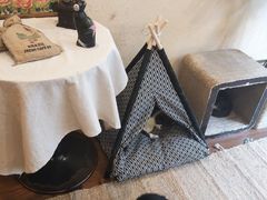 -猫友咖啡店(玉林西路店)