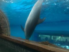 -波塞冬旅游度假区