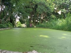 -成都市活水公园