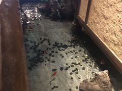-苗岭侗寨(金阳店)