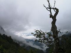 -终南山国家森林公园