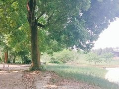 -秀丽东方