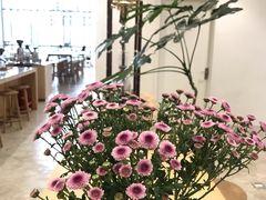 -VOYAGE COFFEE(杨梅竹店)