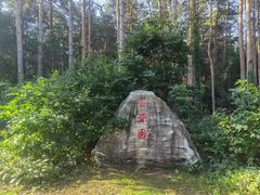 -黑龙江省森林植物园