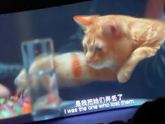 -天津美亚HeyLED影城(天津水游城店)