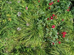 -苏州河梦清园环保主题公园