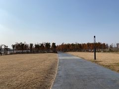 -春花秋色城市公园