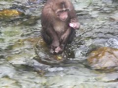 -九峰山