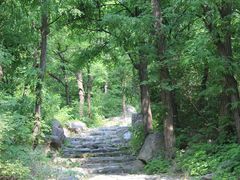 -阳台山自然风景区