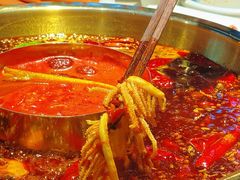 -二荆条·蜀鲜汇城市森林火锅