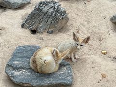 -云南野生动物园