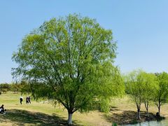 -钟山体育运动公园