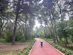 -长春市南湖公园