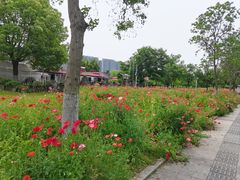 -石湖景区