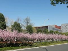 门面-南京大学杜厦图书馆