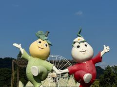 -东南花都花博园