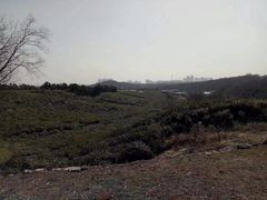 -南山风景名胜区