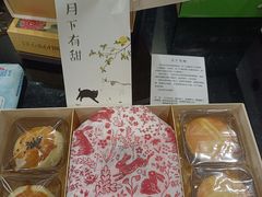 -猫里有甜