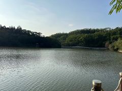 -深圳仙湖植物园