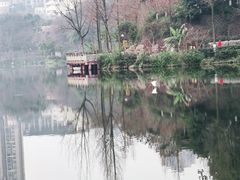 -重庆彩云湖湿地公园