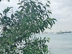 -巴拉湾海滩