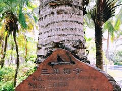 -海口喜来登酒店