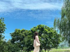 -村上春树