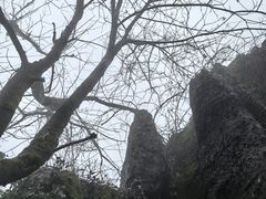 -山王坪喀斯特国家生态公园