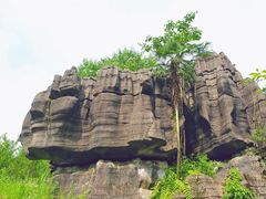 -梭布垭石林景区