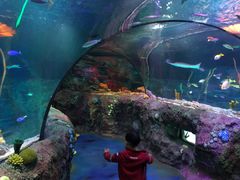 -沈阳海洋探索中心