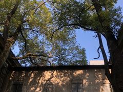 -南京晨光1865创意产业园