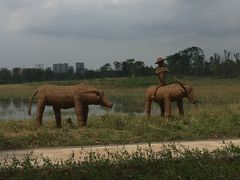 -白鹭湾湿地公园