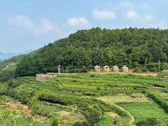 -乌石村