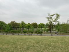 -广富林郊野公园