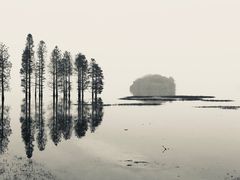 -品雅轩农家乐