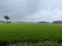 -嘉北郊野公园