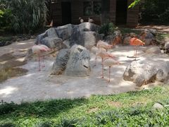 -昆明动物园