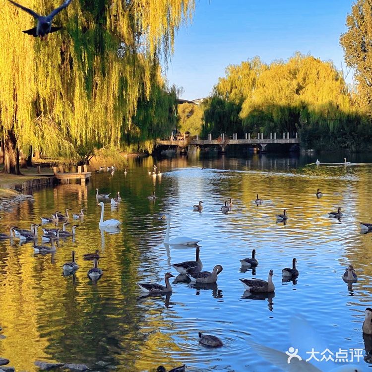 闹市中的仙境 零距离动物世界