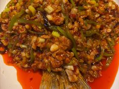 -院8里·小聚园老川菜(九眼桥店)