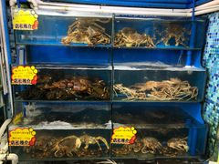 -蚝专家(北滘店)