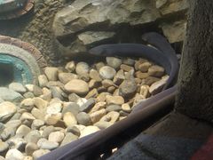 -哈尔滨波塞冬海底世界