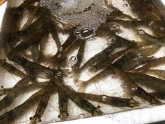 -青石桥市场北1-27号