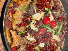 -老板恋上鱼(恒隆广场店)