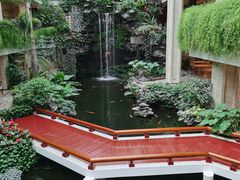 -白天鹅宾馆-宏图府餐厅