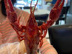 -香满锅老北京羊蝎子火锅·家常菜(新街口店)