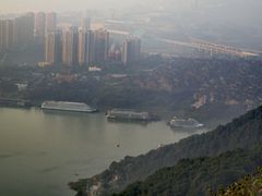 -铁山坪森林公园