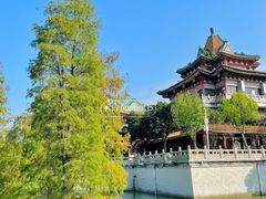 -顺峰山公园