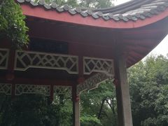 -菊花台公园