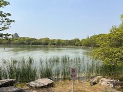 -金鸡湖桃花岛
